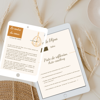 Carnet Essence_ Human Design