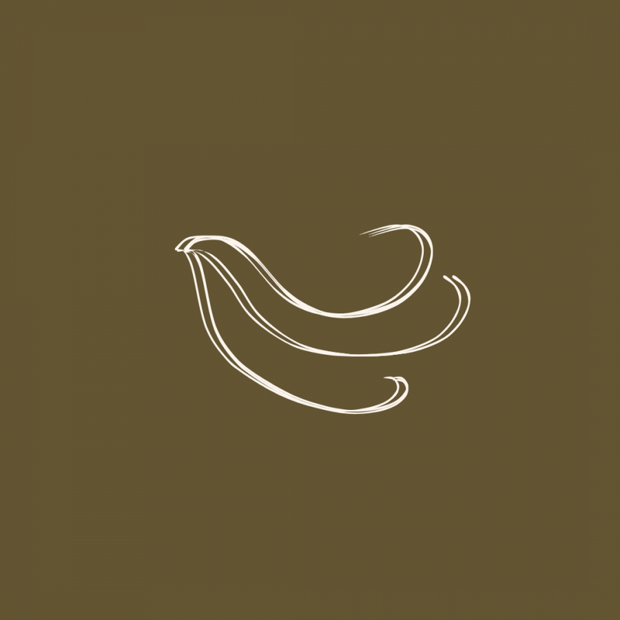 Respiration Respiration