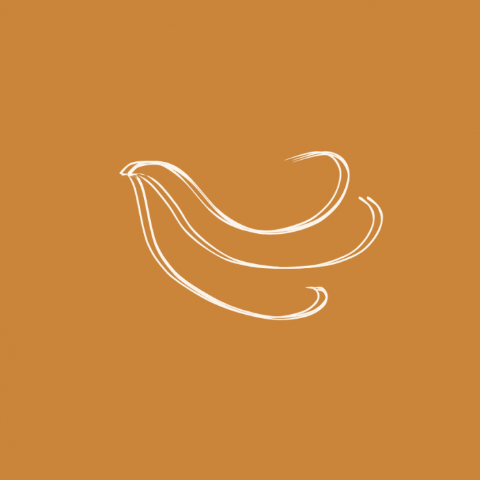 Respiration Respiration